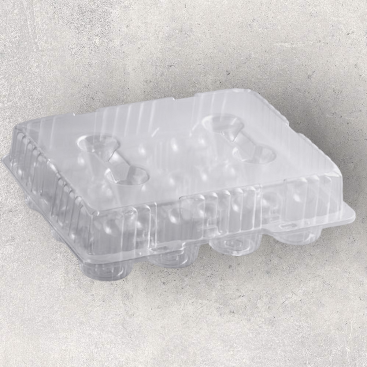 12 ct cupcake container